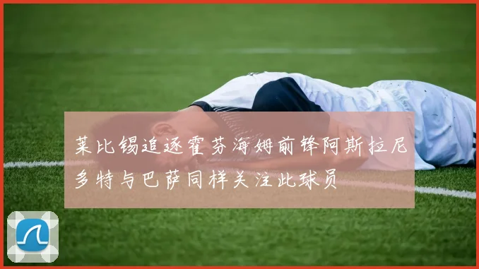 莱比锡追逐霍芬海姆前锋阿斯拉尼多特与巴萨同样关注此球员