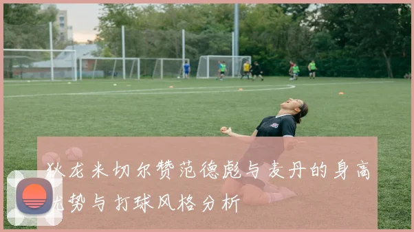 狄龙米切尔赞范德彪与麦丹的身高优势与打球风格分析